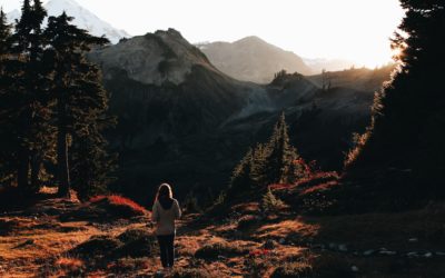 Ecopsychologie : la racine de nos maux