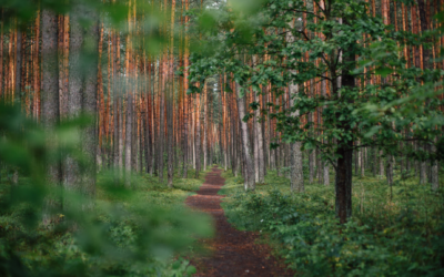 Chacun sa route, chacun son chemin